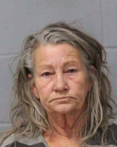 BRENDA MORENO arrest record BRENDA MORENO mugshot
