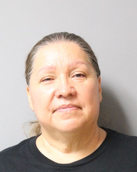 THERESA BERRELLEZA arrest record THERESA BERRELLEZA mugshot