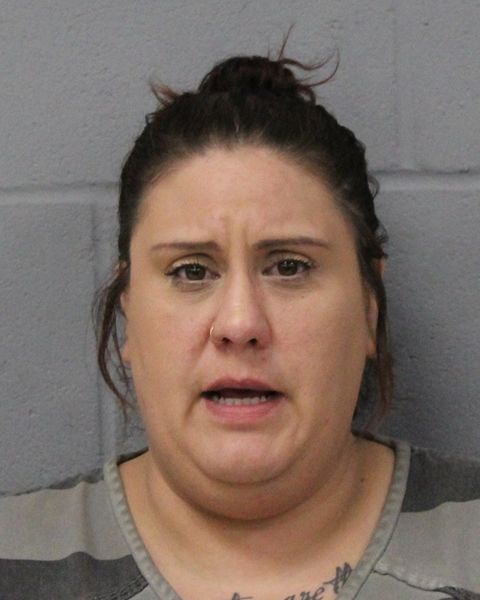 MELISSA BIEGEL arrest record MELISSA BIEGEL mugshot