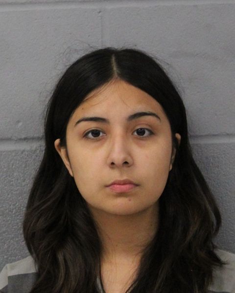 KARINA BENITEZ arrest record KARINA BENITEZ mugshot