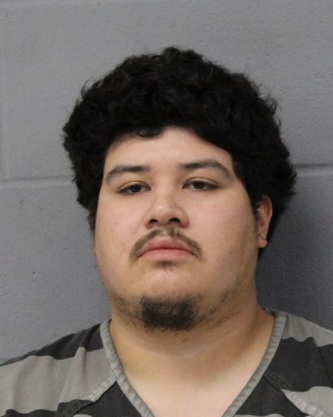 DAVID TELLES arrest record DAVID TELLES mugshot