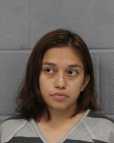 MARI LARA arrest record MARI LARA mugshot