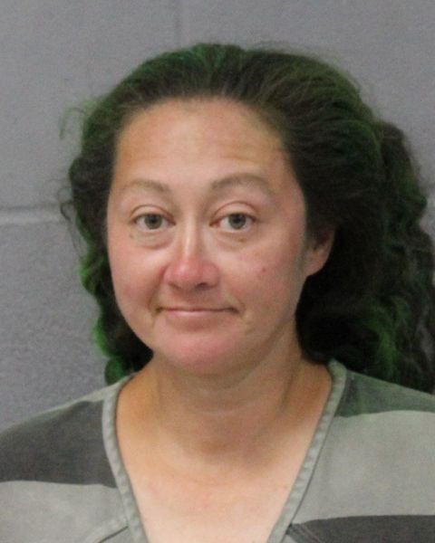 MICHELLE MCGAUGHY arrest record MICHELLE MCGAUGHY mugshot