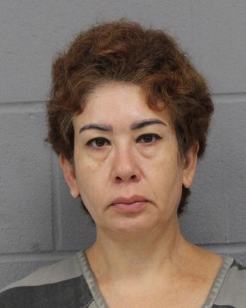 ERIKA SOTO ORTIZ arrest record ERIKA SOTO ORTIZ mugshot