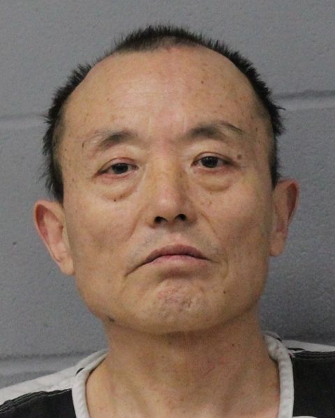 DACHENG LI arrest record DACHENG LI mugshot