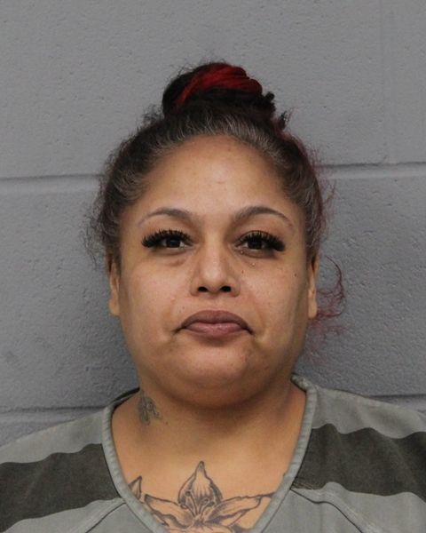 ERICA DUARTE arrest record ERICA DUARTE mugshot