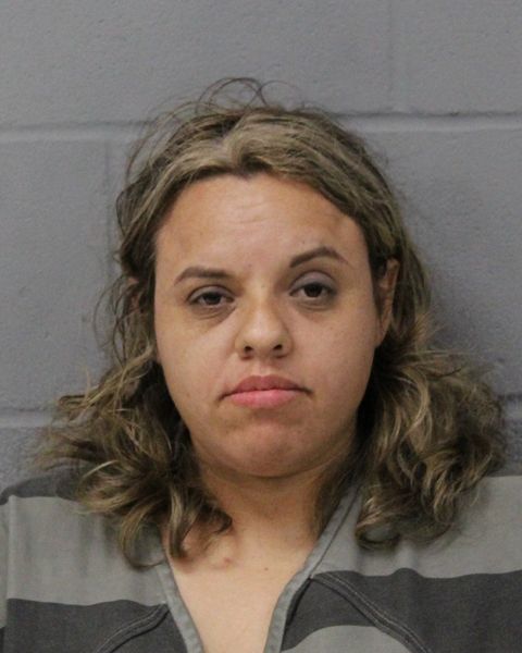 ALMA PALACIO arrest record ALMA PALACIO mugshot