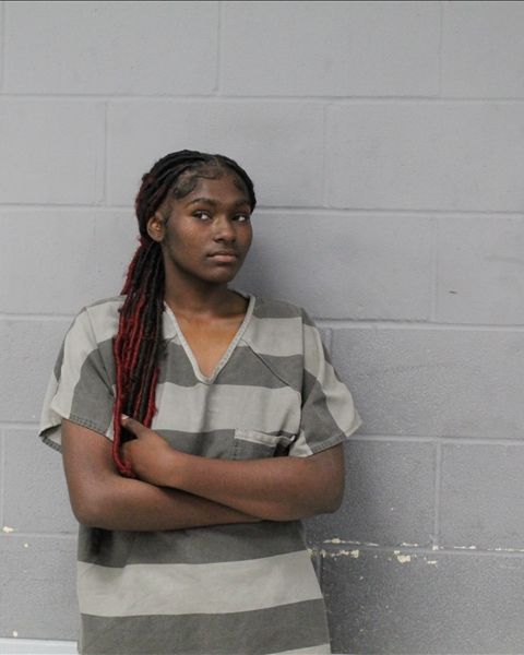 DESTINEE BROWN arrest record DESTINEE BROWN mugshot