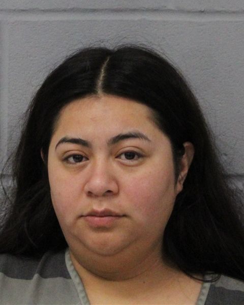 MARIANA LOPEZ arrest record MARIANA LOPEZ mugshot