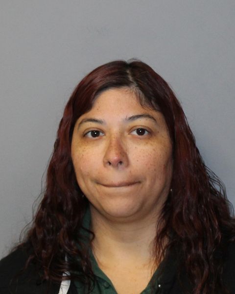 LANIE REYES arrest record LANIE REYES mugshot