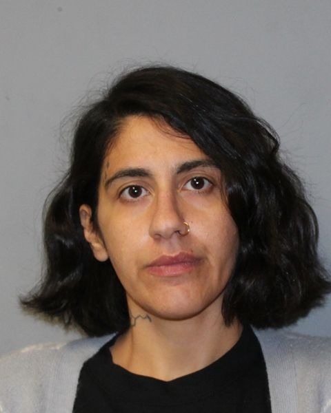 SHERMINE ABBASSI arrest record SHERMINE ABBASSI mugshot