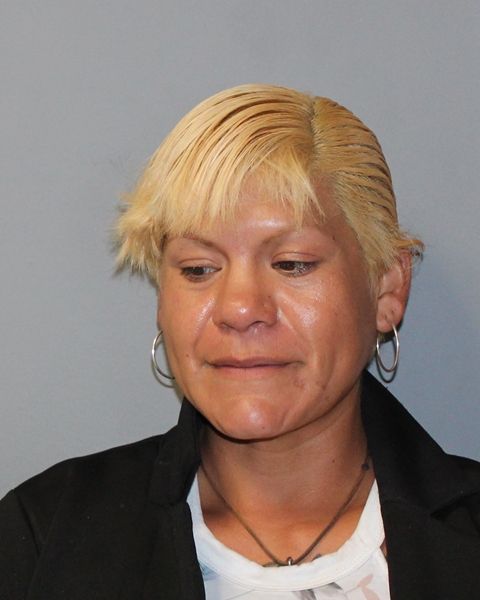 JOANNA LOZANO arrest record JOANNA LOZANO mugshot