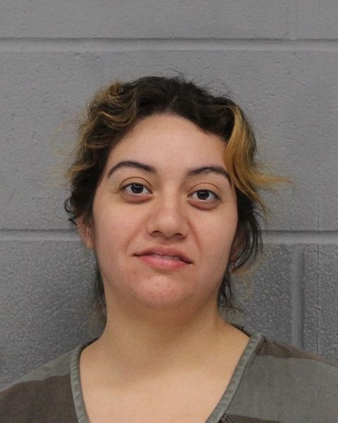 MARENA FALCON arrest record MARENA FALCON mugshot
