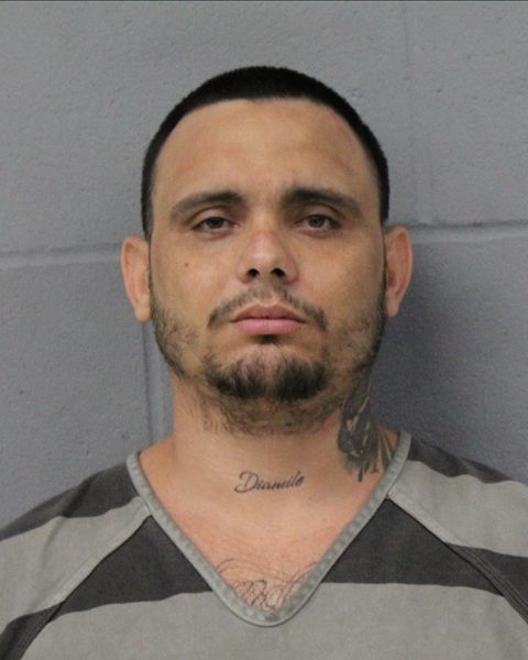 DAIROBIS CASTILLO arrest record DAIROBIS CASTILLO mugshot