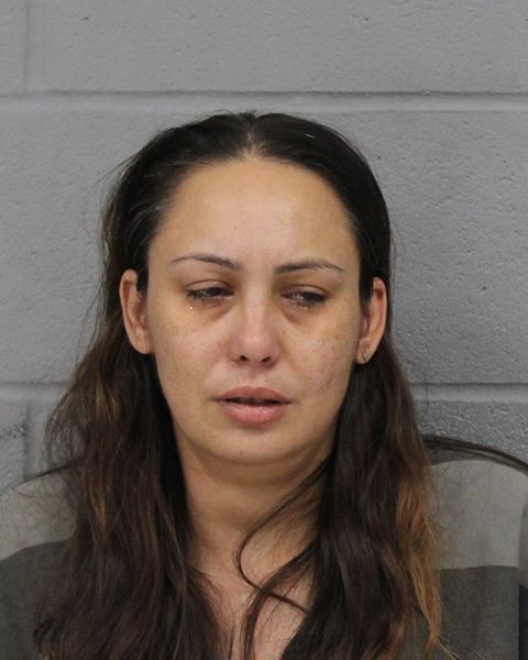 MICHELLE BRANT arrest record MICHELLE BRANT mugshot