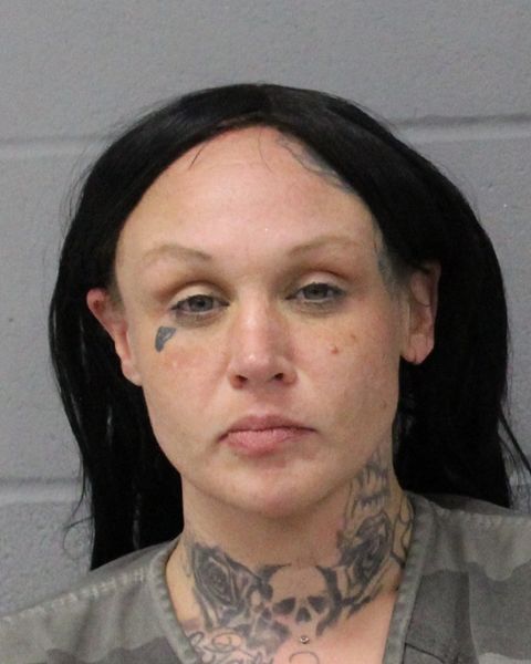 REAGAN JENKINS arrest record REAGAN JENKINS mugshot