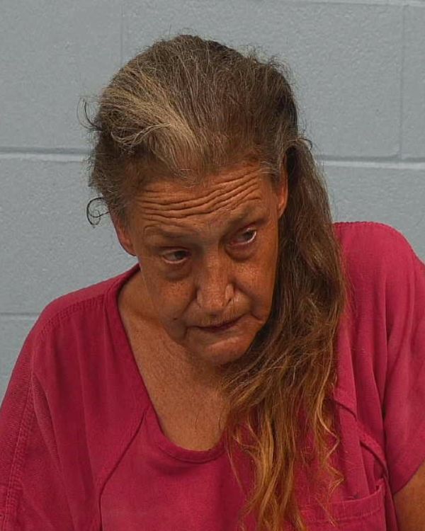 Smith, Deborah Ann arrest record in Williamson County, Texas Smith, Deborah Ann arrested in Williamson County, Texas mugshot