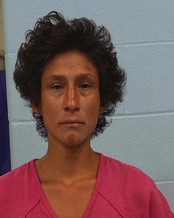 Navejar, Julie Ann arrest record in Williamson County, Texas Navejar, Julie Ann arrested in Williamson County, Texas mugshot