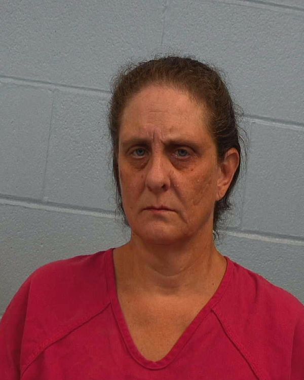 Viktor, Tiffany Jeane arrest record in Williamson County, Texas Viktor, Tiffany Jeane arrested in Williamson County, Texas mugshot