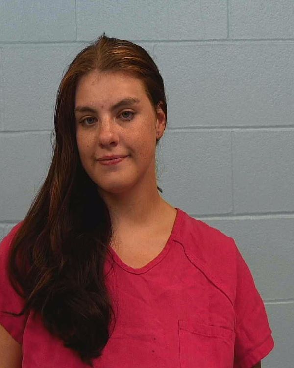 HAMMER, SARAH BETH arrest record in Williamson County, Texas HAMMER, SARAH BETH arrested in Williamson County, Texas mugshot