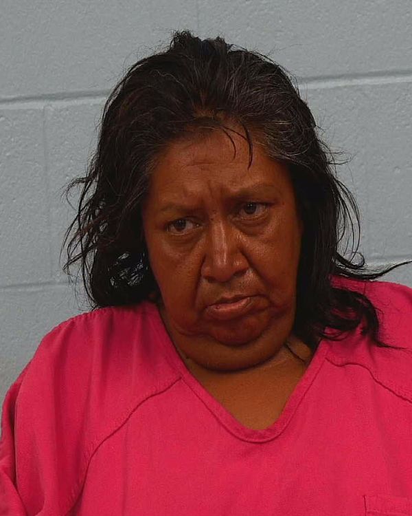 Marmolejo, Lori Ann arrest record in Williamson County, Texas Marmolejo, Lori Ann arrested in Williamson County, Texas mugshot