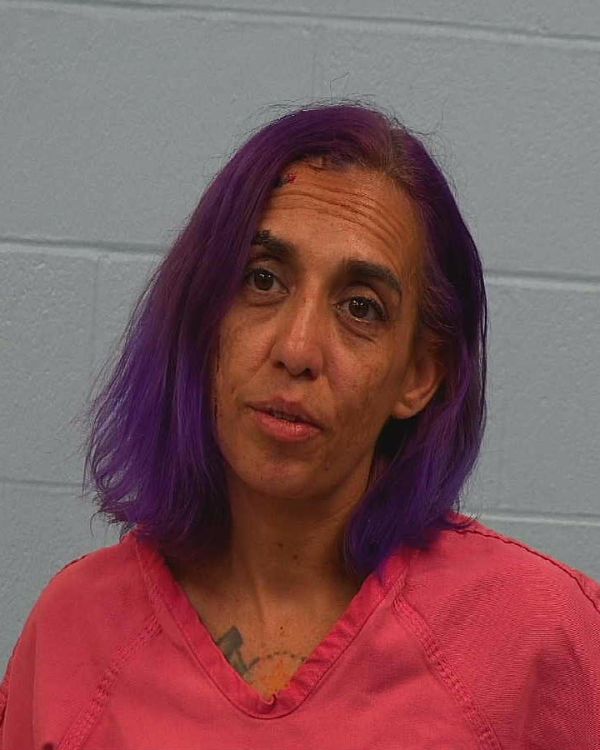 Conner, Elaina Helen arrest record in Williamson County, Texas Conner, Elaina Helen arrested in Williamson County, Texas mugshot