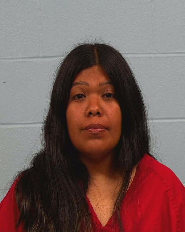 Garcia-Arellano, Elizabeth arrest record in Williamson County, Texas Garcia-Arellano, Elizabeth arrested in Williamson County, Texas mugshot
