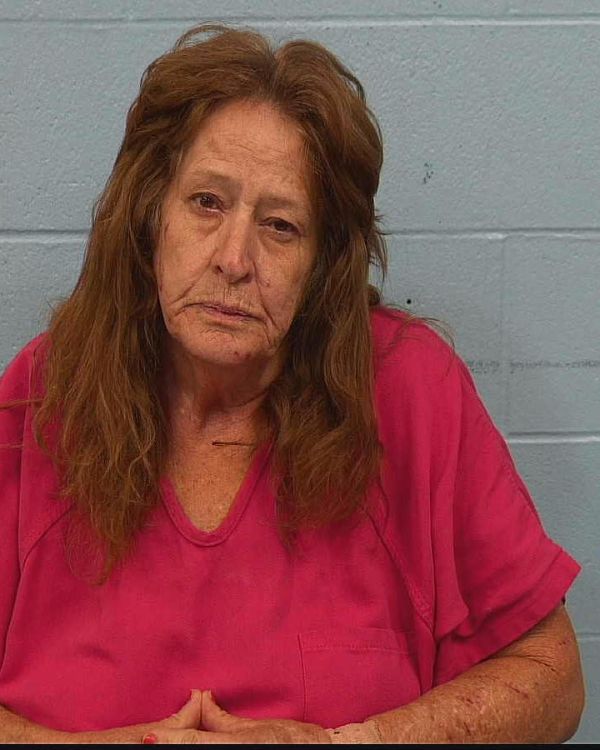 Martin, Nanette arrest record in Williamson County, Texas Martin, Nanette arrested in Williamson County, Texas mugshot