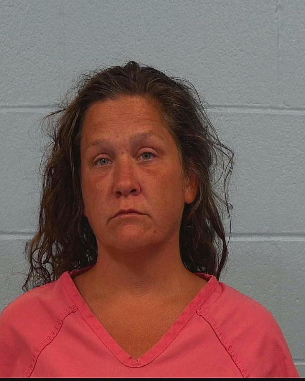 Hamby, Kristina Rene arrest record in Williamson County, Texas Hamby, Kristina Rene arrested in Williamson County, Texas mugshot