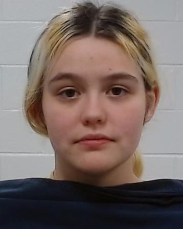 Winship, Isabella Grace arrest record in Collin County, Texas Winship, Isabella Grace arrested in Collin County, Texas mugshot
