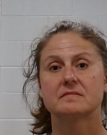 Saxon, Tami Ann arrest record in Collin County, Texas Saxon, Tami Ann arrested in Collin County, Texas mugshot