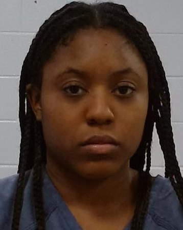 Adigwe, Nkemakonam Anita arrest record in Collin County, Texas Adigwe, Nkemakonam Anita arrested in Collin County, Texas mugshot