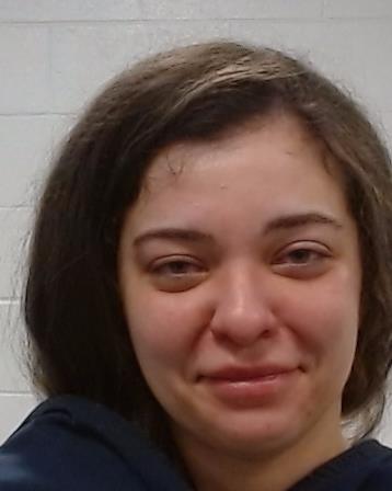 Rog, Meagan Ashley arrest record in Collin County, Texas Rog, Meagan Ashley arrested in Collin County, Texas mugshot
