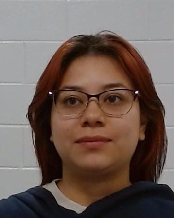 Rodriguez, Luz Angelica arrest record in Collin County, Texas Rodriguez, Luz Angelica arrested in Collin County, Texas mugshot