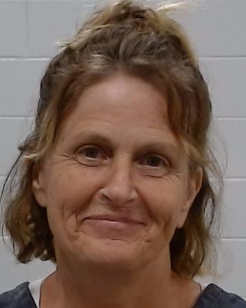 Gray, Holly Denise arrest record in Collin County, Texas Gray, Holly Denise arrested in Collin County, Texas mugshot