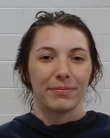 Smith, Sarah Nicole arrest record in Collin County, Texas Smith, Sarah Nicole arrested in Collin County, Texas mugshot