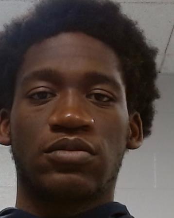 Sofi, Brandon Tingtong arrest record in Collin County, Texas Sofi, Brandon Tingtong arrested in Collin County, Texas mugshot