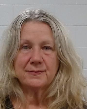 Berecz, Karen Elizabeth arrest record in Collin County, Texas Berecz, Karen Elizabeth arrested in Collin County, Texas mugshot
