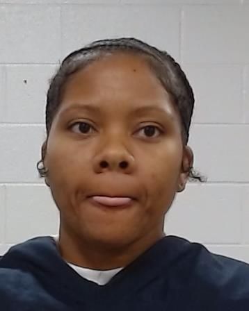 Bush, Amber Carlene arrest record in Collin County, Texas Bush, Amber Carlene arrested in Collin County, Texas mugshot