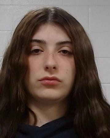 Fussell, Sage arrest record in Collin County, Texas Fussell, Sage arrested in Collin County, Texas mugshot
