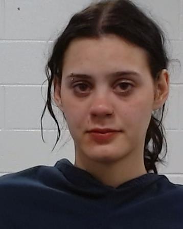 Loya, Marissa Jayne arrest record in Collin County, Texas Loya, Marissa Jayne arrested in Collin County, Texas mugshot