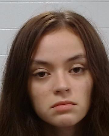 Byrd, Judith Paige arrest record in Collin County, Texas Byrd, Judith Paige arrested in Collin County, Texas mugshot