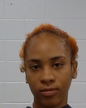 Johnson, Armani Kimmora arrest record in Collin County, Texas Johnson, Armani Kimmora arrested in Collin County, Texas mugshot