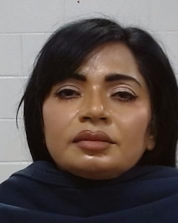 Abel, Denise Shelly arrest record in Collin County, Texas Abel, Denise Shelly arrested in Collin County, Texas mugshot