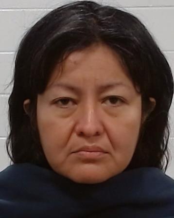 Padron, Norma arrest record in Collin County, Texas Padron, Norma arrested in Collin County, Texas mugshot