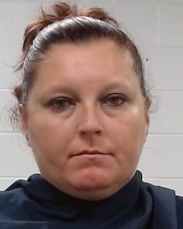 Ames, Kristan Ann arrest record in Collin County, Texas Ames, Kristan Ann arrested in Collin County, Texas mugshot