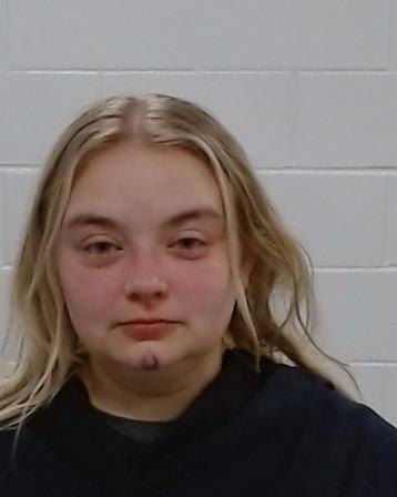 Vanamburgh, Grace Ellen arrest record in Collin County, Texas Vanamburgh, Grace Ellen arrested in Collin County, Texas mugshot