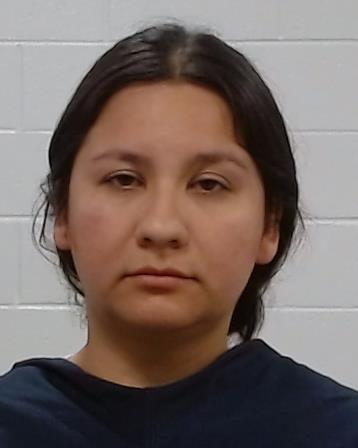 Lerma, Mireya Elizabeth arrest record in Collin County, Texas Lerma, Mireya Elizabeth arrested in Collin County, Texas mugshot