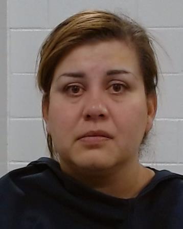 Quevedo, Gabriela Berenice arrest record in Collin County, Texas Quevedo, Gabriela Berenice arrested in Collin County, Texas mugshot