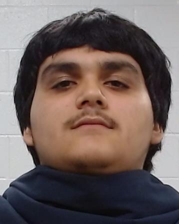 Alaniz, Adrian arrest record in Collin County, Texas Alaniz, Adrian arrested in Collin County, Texas mugshot